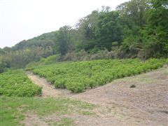 ���ԏ�̋󂫒n