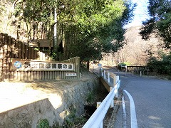 ���R�ώ@�̐X