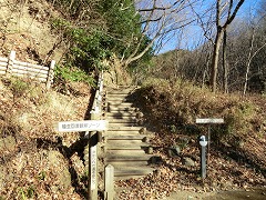 �L�A�Q�n�̋u��