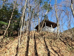 �L�A�Q�n�ώ@��