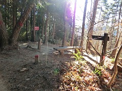 ���R�ώ@�̐X�ŏ㕔