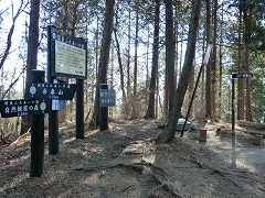 �S�W�O���n�_