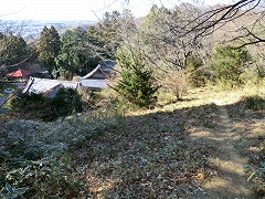 ���T����