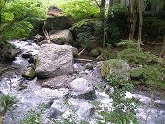 �V��̗͂����