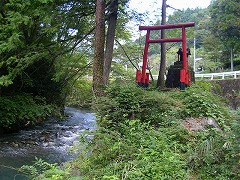 �����_��