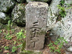 �O�\�Z�������W