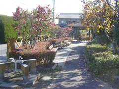 �L��̏����Ȍ���