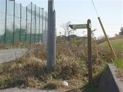 ���ʂ̓��H��