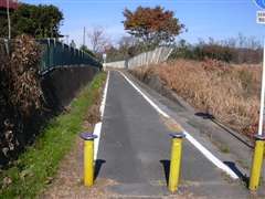 ���ꂪ�T�C�N�����O���[�h�H