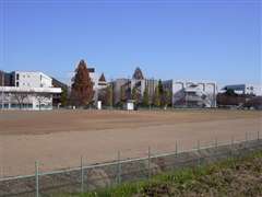 �����H�Ƒ�w