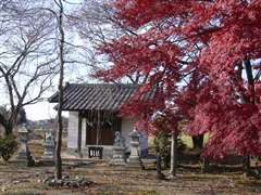 ����_���{