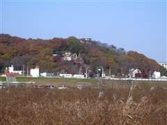 �D�P�R�ƐD�P�_��