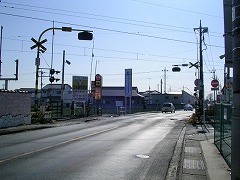 �i�q���ѐ�����