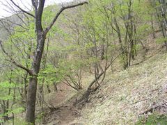 上の避難小屋への道