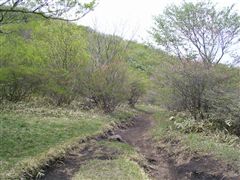 鍋割山への道