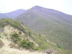 荒山の下の荒山高原が見える