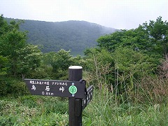 �����Y�R