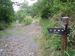 �ѓ��̐�̓��W