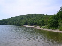 �����ƒ�����