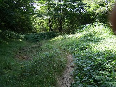 おとぎの森へ向かう