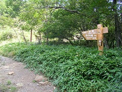 おとぎの森遊歩道折り返し点