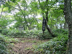 茶ノ木畑峠