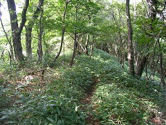 尾根を西へ
