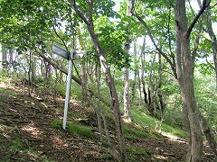 つつじが峰通り分岐