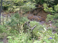 銚子の伽藍のある沢