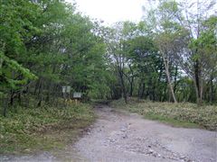 長七郎山への道