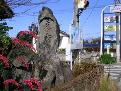 �q�������ȍM�\�l