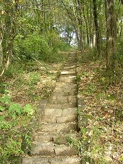 �R�O�T�i�̐Βi