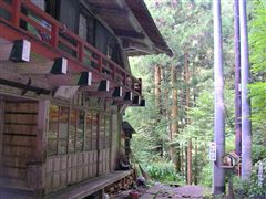 �R��̍�����A�͌���