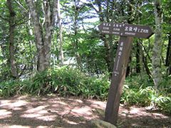 薬師岳山頂
