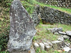 �M�\���ƗN����