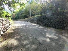 �����q�R�o�R��