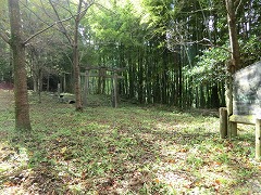 �V���������̍L��