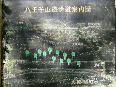 �����q�R�V�����ē���