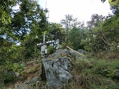 ���グ�������A���e�i