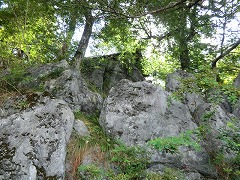 ��̑O�ɔ����q�_��