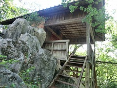 �����q�_��