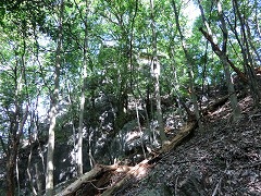 �ؗ��̏�ɔ����q�_��