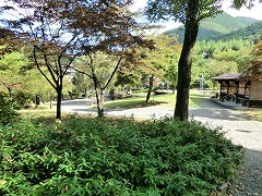 �����̗���������