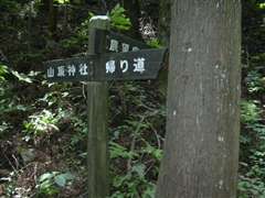 ���i�@�R���A�E�܁@�W�]��̓��W