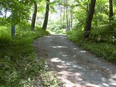 �ܑ��H�֔�яo��