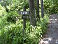 �W�]�����