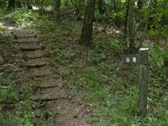 �R���ւ̓o���