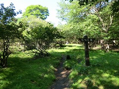 ��������