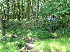 �ŏ��̕���