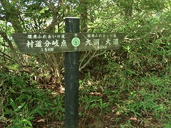 �������W